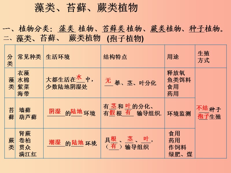 安徽省七年级生物上册3.1.1藻类苔藓和蕨类植物课件1 新人教版.ppt_第3页