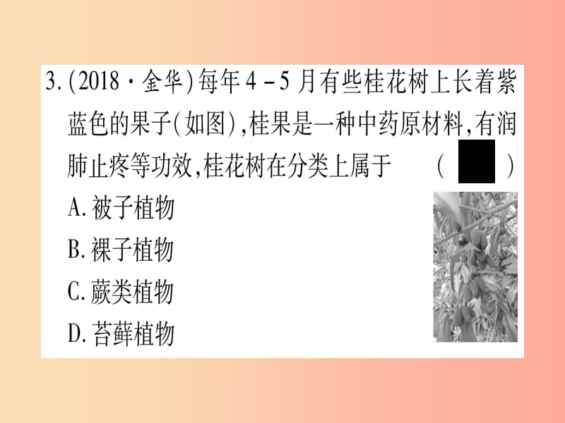 2019年中考生物 第1单元 第3章 形形色色的植物（第5-7节）复习习题课件 冀教版.ppt_第3页