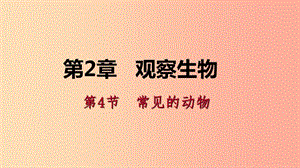 2019年秋七年級科學(xué)上冊 第2章 觀察生物 2.4 常見的動物 第3課時 利用檢索法來辨認(rèn)生物導(dǎo)學(xué)課件 浙教版.ppt