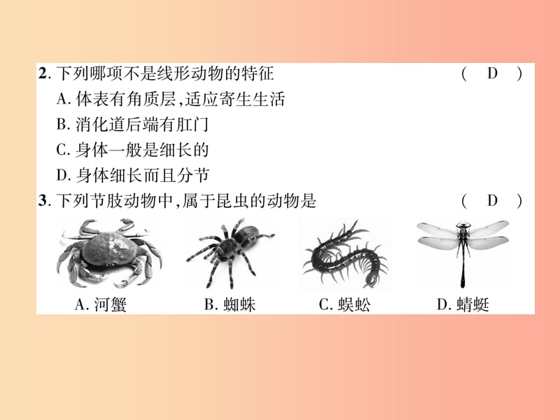 2019年八年级生物上册 第5单元 第1章 动物的主要类群达标测试题课件 新人教版.ppt_第3页