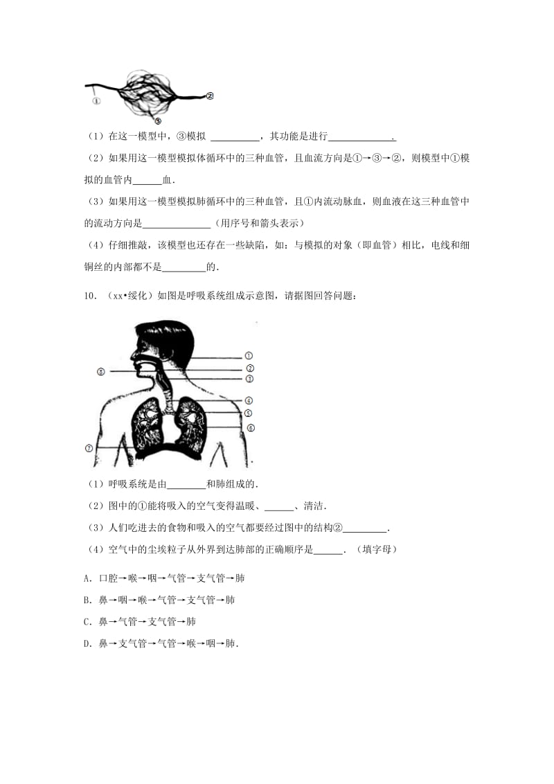 2019-2020年中考生物复习 第五单元 第二节 人体生命活动的能量供给特色训练.doc_第3页