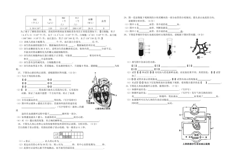 2019-2020年七年级生物下册第四章 人体的物质运输单元综合测试题（4）新人教版.doc_第2页