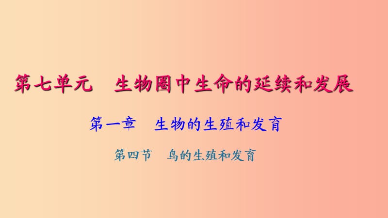 八年级生物下册第七单元第一章第四节鸟的生殖和发育习题课件 新人教版.ppt_第1页