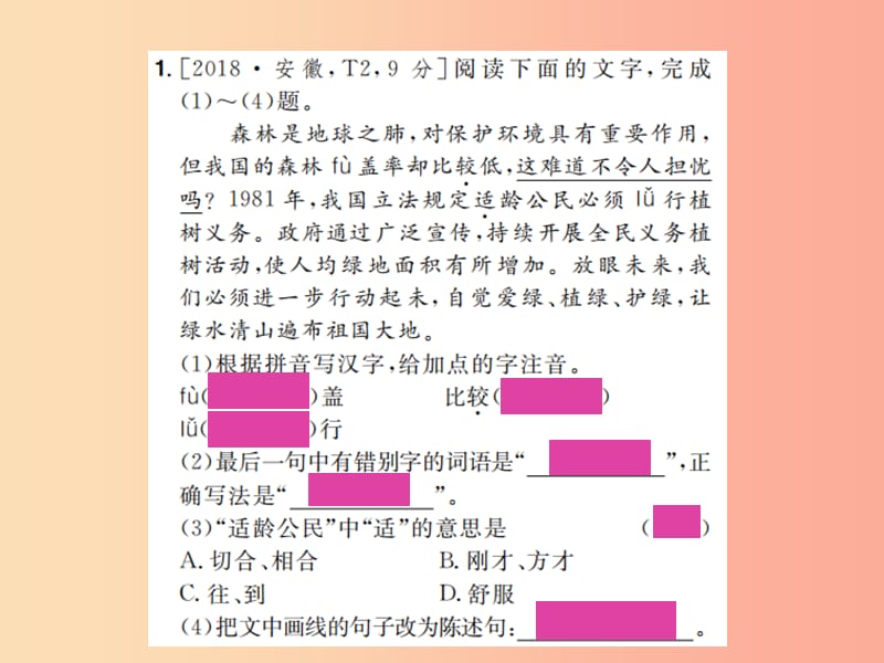 安徽省2019年中考语文 专题复习2 语文积累课件.ppt_第2页