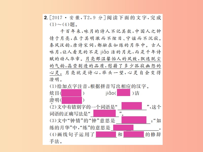 安徽省2019年中考语文 专题复习2 语文积累课件.ppt_第3页