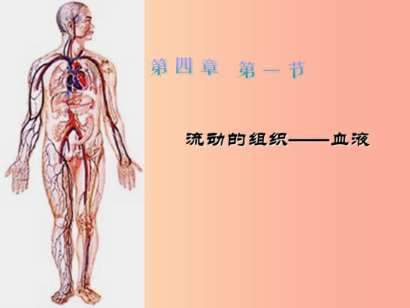 七年级生物下册 4.4.1 流动的组织 血液课件1 新人教版.ppt_第1页