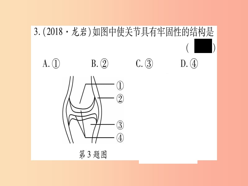 2019年中考生物 第4单元 动物的生活复习习题课件 冀教版.ppt_第3页