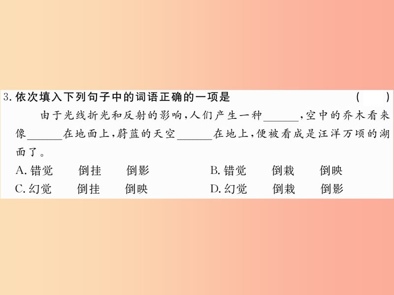 八年级语文下册 第三单元 10沙漠里的奇怪现象习题课件 苏教版.ppt_第3页