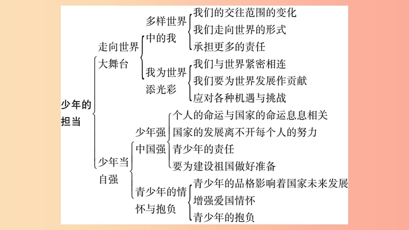 宁夏2019中考政治第4篇知识梳理九下第3单元走向未来的少年复习课件.ppt_第3页