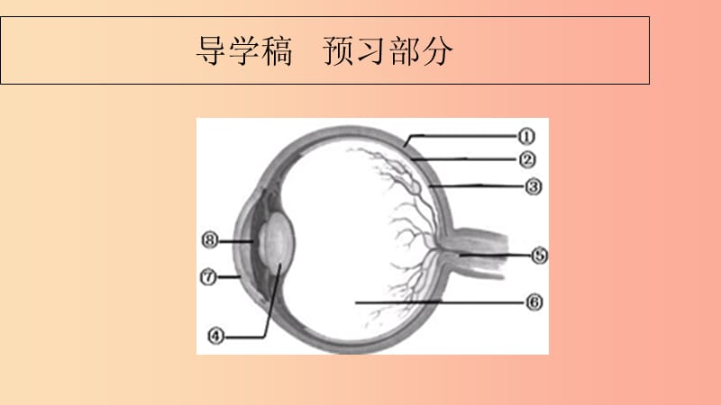 广东省河源市七年级生物下册 4.6.1 人体对外界环境的感知课件1 新人教版.ppt_第2页