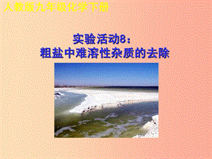 2019年秋九年級化學(xué)下冊 第十一單元 鹽 化肥 實驗活動8 粗鹽中難溶性雜質(zhì)的去除教學(xué)課件 新人教版.ppt