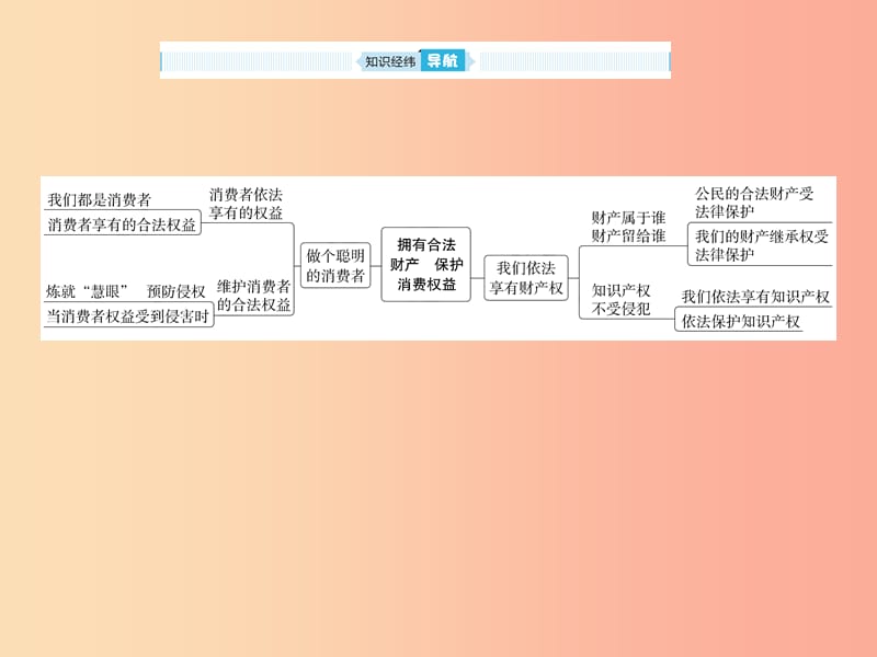 山东省2019年中考道德与法治总复习 八年级 第五单元 拥有合法财产 保护消费权益课件.ppt_第2页