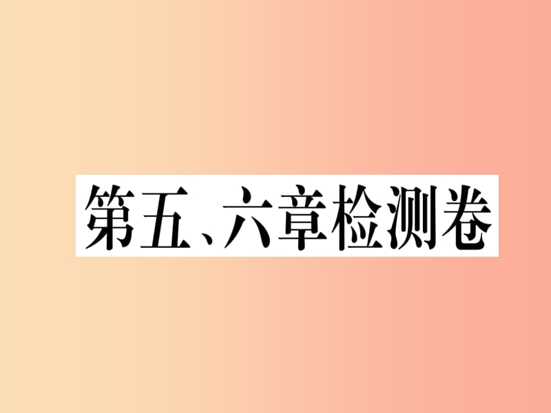 2019春八年级地理下册第五六章检测卷习题课件 新人教版.ppt_第1页