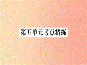 八年級(jí)歷史上冊(cè) 第五單元 考點(diǎn)精練課件 新人教版.ppt