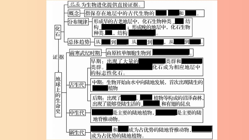 广西省玉林市2019年八年级生物下册 第七单元 第21章 第2节 生物的进化（第1课时）课件（新版）北师大版.ppt_第3页