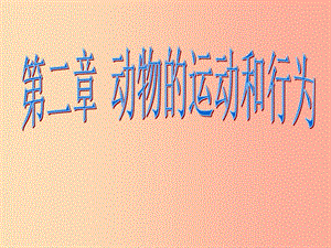 吉林省長春市八年級生物上冊 第五單元 第二章 動物的運動和行為課件 新人教版.ppt