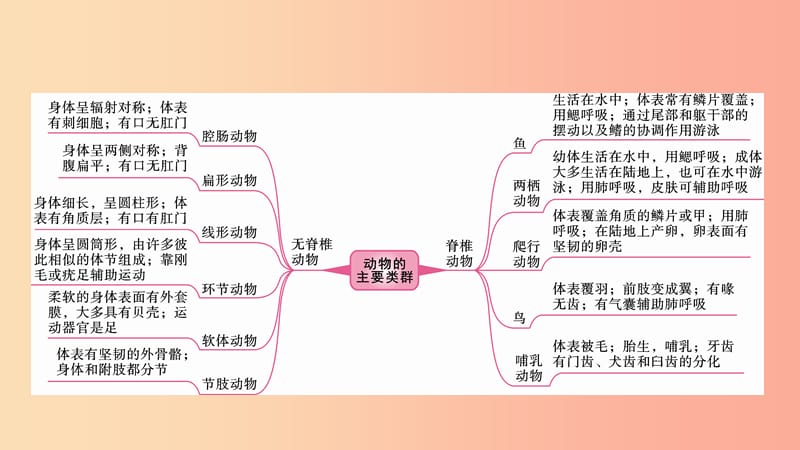 2019中考生物总复习 第一部分 基础考点巩固 第五单元 生物圈中的其他生物 第一章 动物的主要类群课件.ppt_第2页