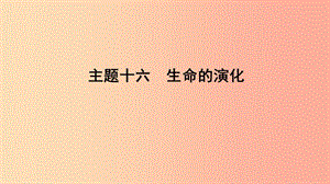 山東省2019年中考生物 主題復(fù)習(xí)十六 生命的演化課件 濟(jì)南版.ppt