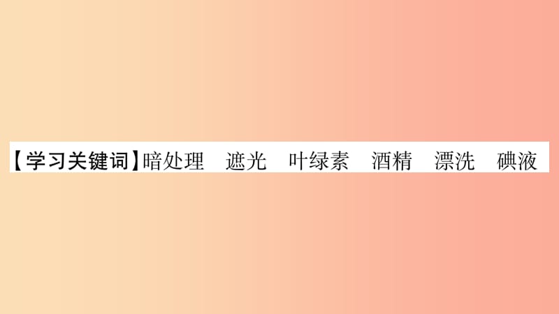 2019秋七年级生物上册第3单元第4章绿色植物是生物圈中有机物的制造者第1课时习题课件 新人教版.ppt_第2页