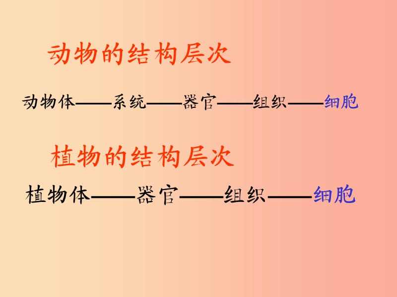 2019年七年级生物上册2.2.4单细胞生物课件5 新人教版.ppt_第2页