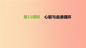 江蘇省徐州市2019年中考生物復(fù)習(xí) 第五單元 生命活動(dòng)的調(diào)節(jié)和生態(tài)系統(tǒng)的穩(wěn)定 第11課時(shí) 心臟與血液循環(huán)課件.ppt