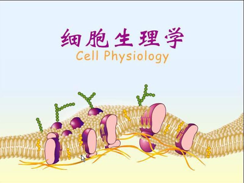 南农生理学01章细胞生理.ppt_第1页