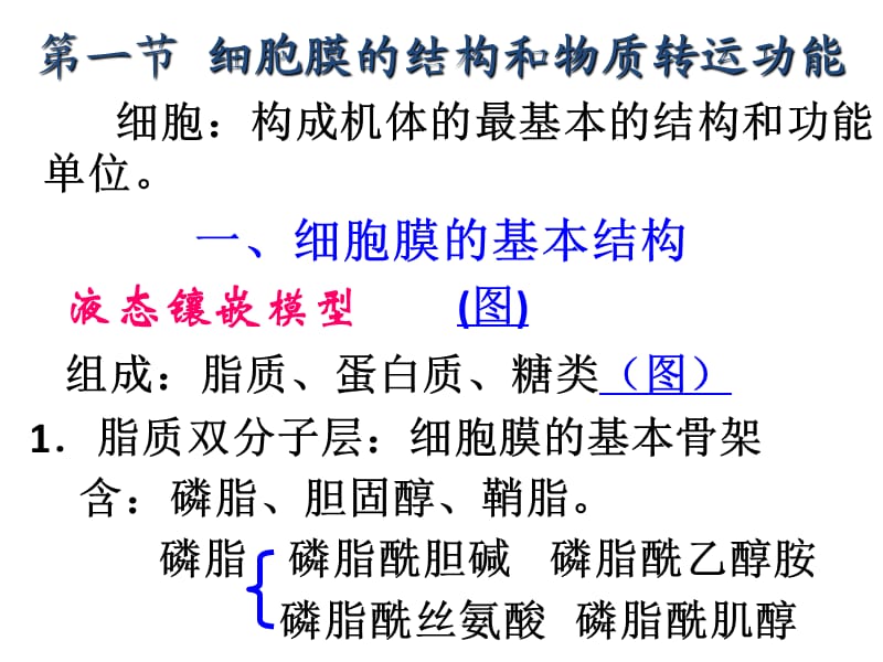 南农生理学01章细胞生理.ppt_第3页