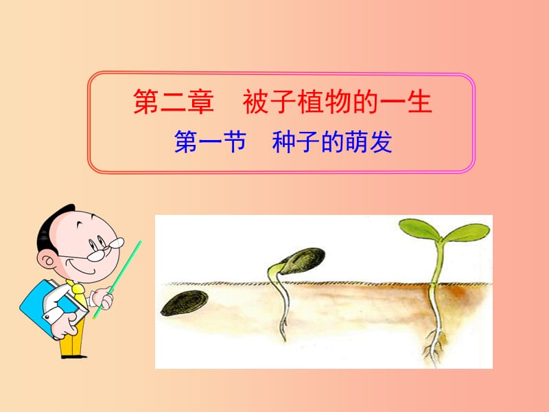 吉林省长春市七年级生物上册 第三单元 第二章 第一节 种子的萌发课件1 新人教版.ppt_第2页