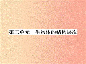 2019年七年级生物上册 期末专题复习 第二单元 生物体的结构层次习题课件 新人教版.ppt