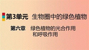 2019年七年級生物上冊第三單元第六章第二節(jié)植物光合作用的場所課件新版蘇教版.ppt