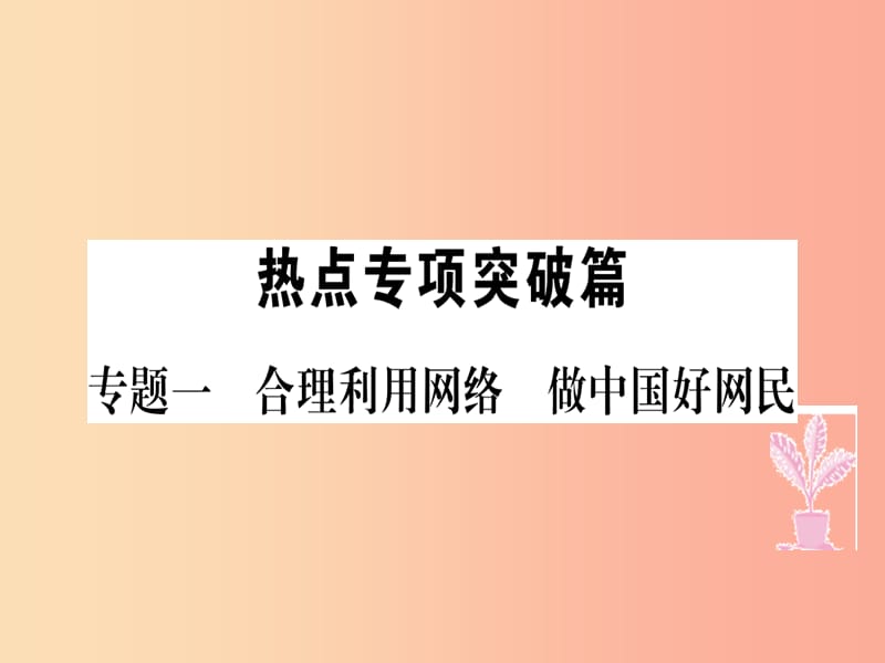 八年级道德与法治上册专题一合理利用网络做中国好网民习题课件新人教版.ppt_第1页