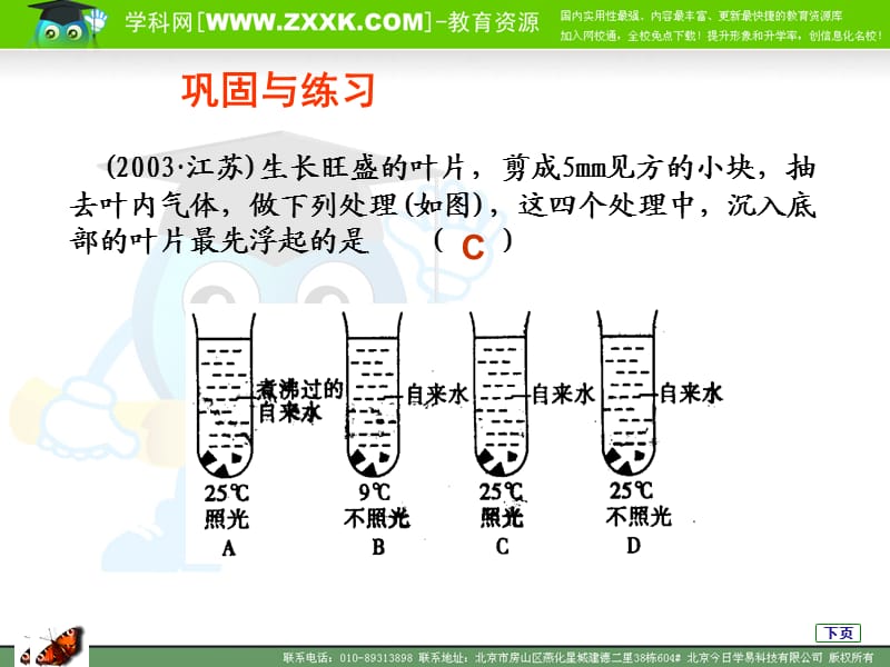 人教版教学课件能量之源光与光合作用的资料.ppt_第3页