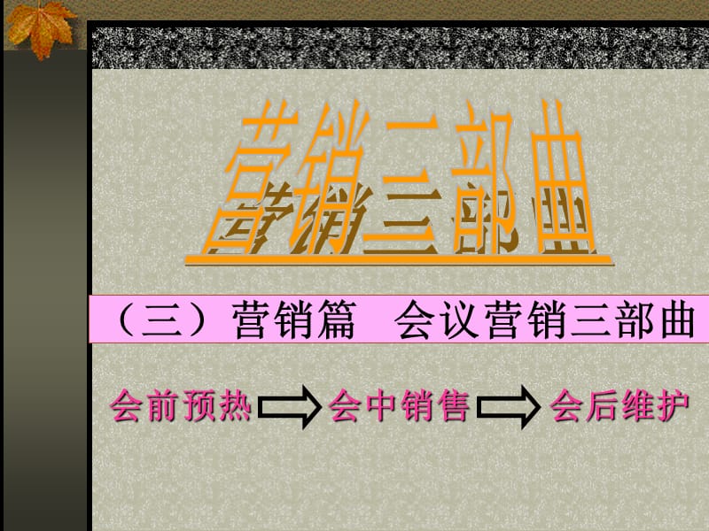 会议营销三步曲(会前会中).ppt_第2页