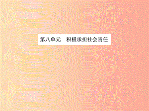 山東省2019年中考道德與法治總復(fù)習(xí) 九年級(jí) 第八單元 積極承擔(dān)社會(huì)責(zé)任課件.ppt