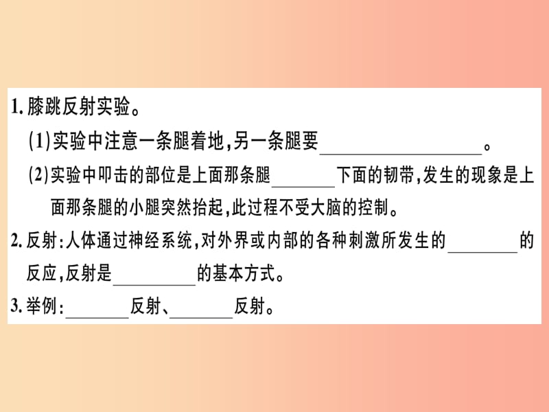 2019七年级生物下册 第四单元 第六章 第三节 神经调节的基本方式习题课件 新人教版.ppt_第2页