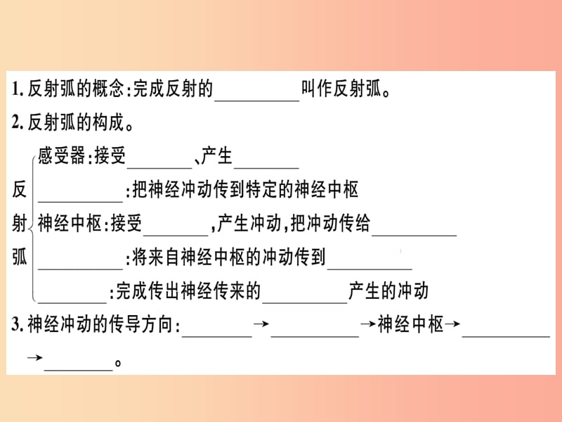 2019七年级生物下册 第四单元 第六章 第三节 神经调节的基本方式习题课件 新人教版.ppt_第3页