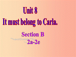 河北省九年級英語全冊 Unit 8 It must belong to Carla課件4（新版）人教新目標版.ppt