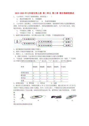 2019-2020年七年級(jí)生物上冊(cè) 第二單元 第三章 微生物課堂測(cè)試.doc