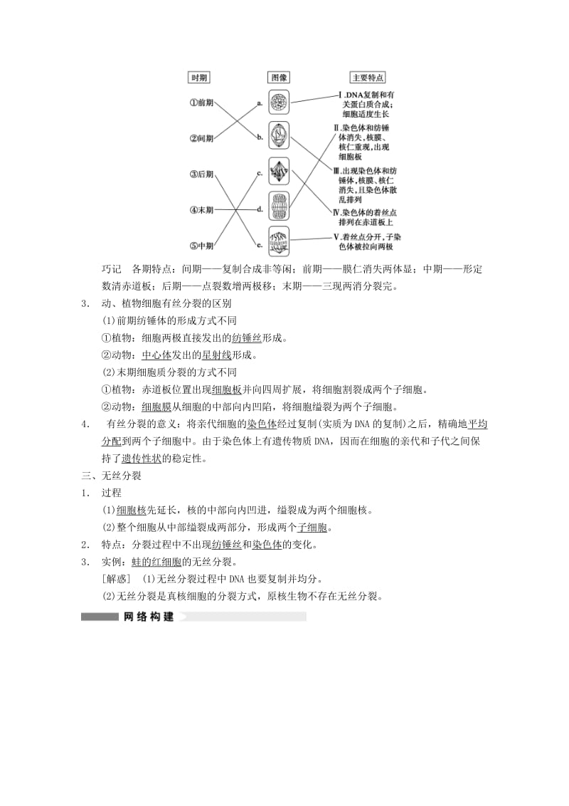 2019-2020年高考生物大一轮复习 第四单元 第12讲 细胞的增殖教案.DOC_第3页