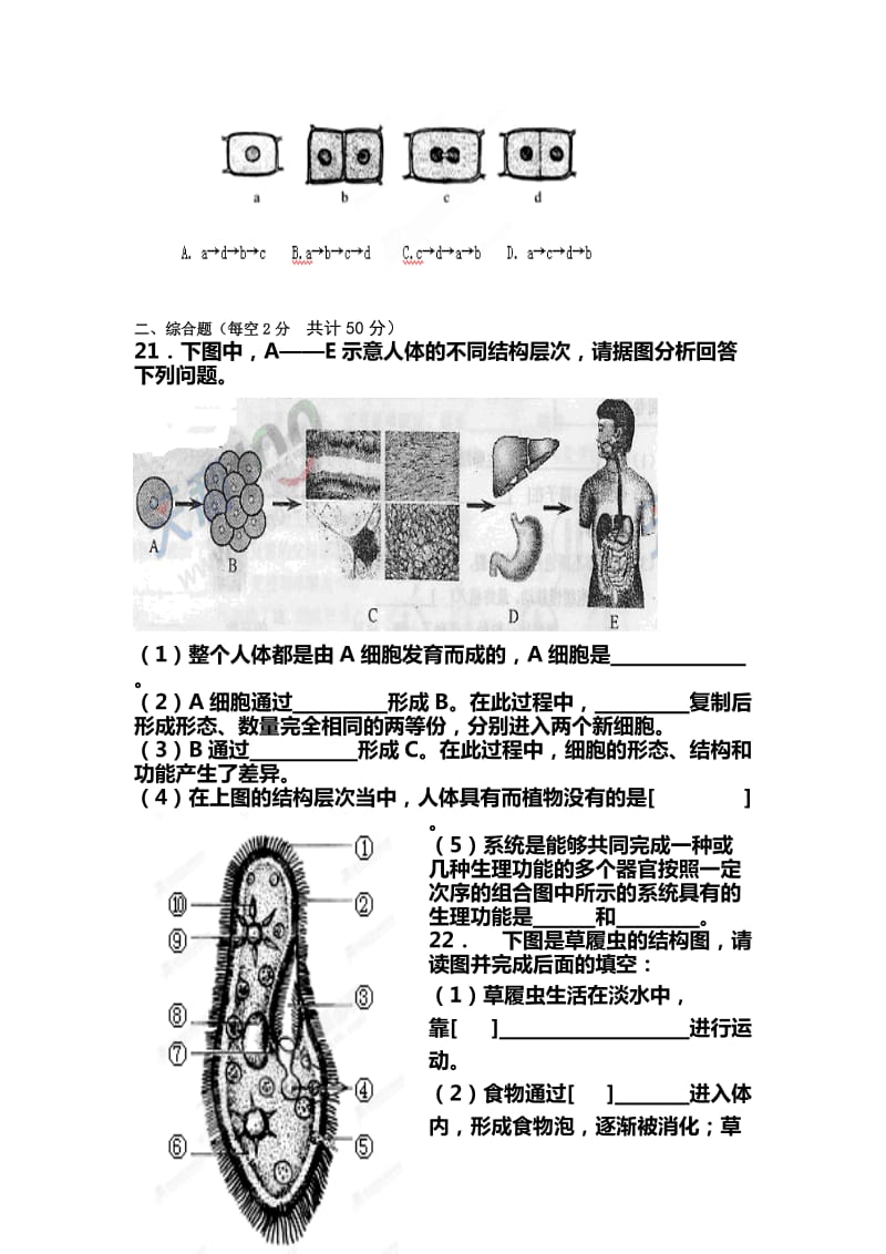 2019-2020年七年级上学期第二次月考生物试题(VI).doc_第3页