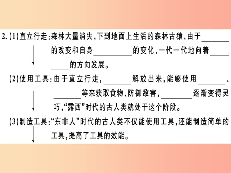 2019七年级生物下册第四单元第一章第一节人类的起源与发展习题课件 新人教版.ppt_第3页