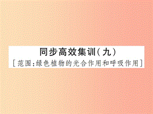 中考（江西專用）2019中考生物 同步高效集訓（九）課件.ppt