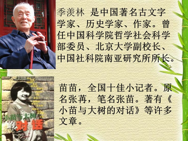 小苗与大树的对话课件.ppt_第3页