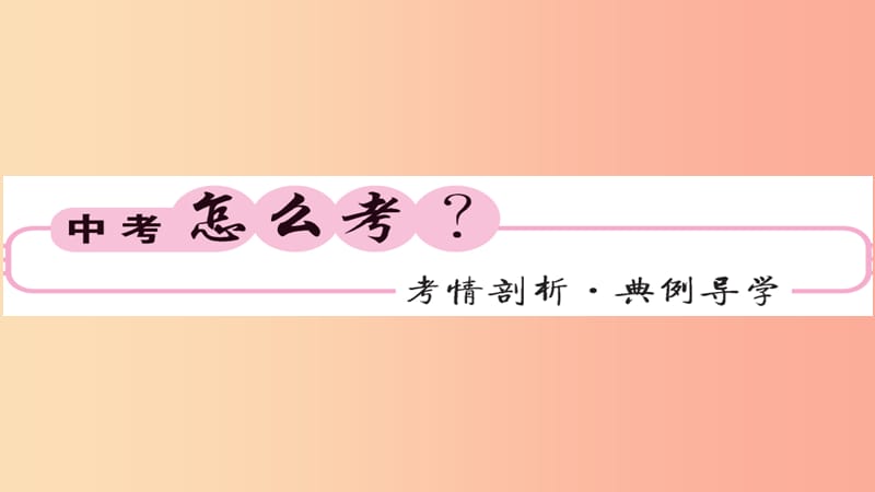 2019年中考化学总复习 第二轮 专题训练 提升能力 专题七 化学计算课件.ppt_第2页