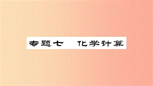 2019年中考化學(xué)總復(fù)習(xí) 第二輪 專題訓(xùn)練 提升能力 專題七 化學(xué)計(jì)算課件.ppt