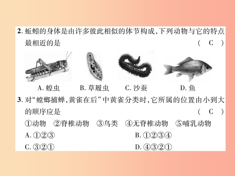 2019年八年级生物上册期末达标测试题课件 新人教版.ppt_第3页