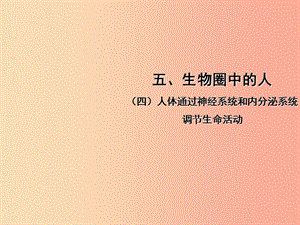 中考（江西專用）2019中考生物 五（四）人體通過神經(jīng)系統(tǒng)和內(nèi)分泌系統(tǒng)調(diào)節(jié)生命活動習題課件.ppt