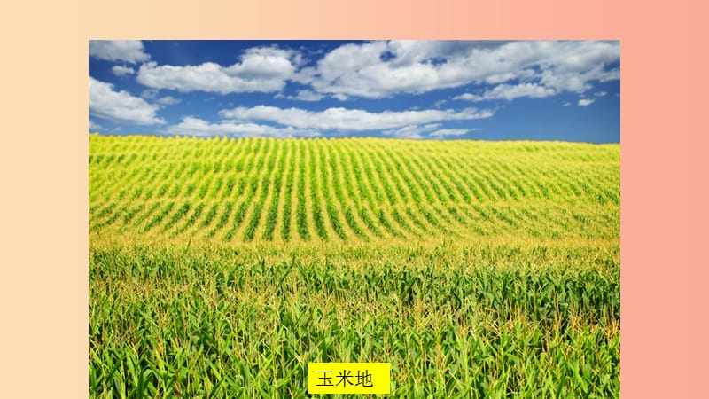 湖南省八年级地理下册 第六章 第三节 东北地区的产业分布课件（新版）湘教版.ppt_第3页