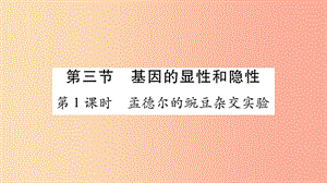 2019年八年級生物下冊 7.2.3 基因的顯性和隱性課件 新人教版.ppt