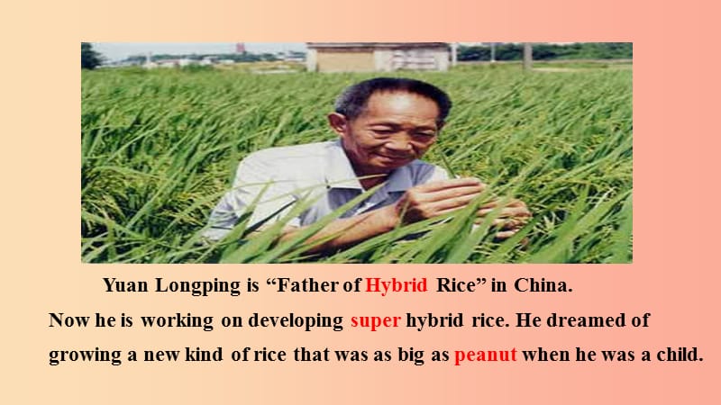 九年级英语上册 Unit 2 Great People Lesson 9 China’s Most Famous Farmer课件 （新版）冀教版.ppt_第3页